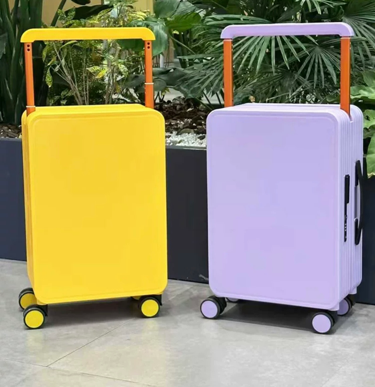 Huan Whale Universal Wheel Suitcase